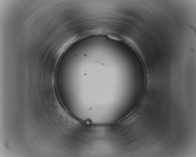 X0000103420946200809191634
