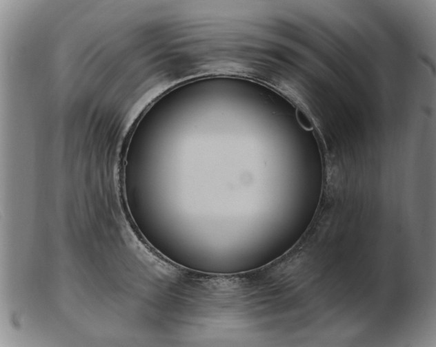 X0000103420947200809191634