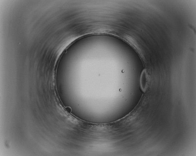 X0000103420948200809191634