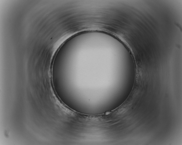 X0000103420951200809191634