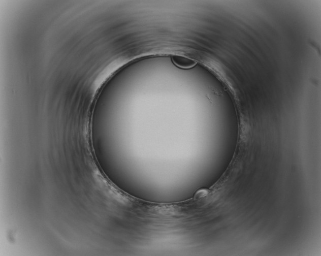 X0000103420952200809191634
