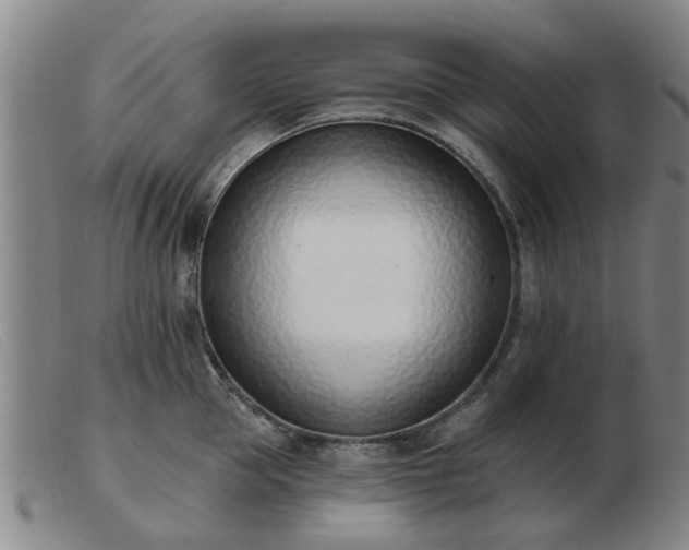 X0000103420953200809191634