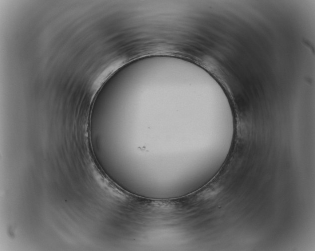 X0000103420954200809191634