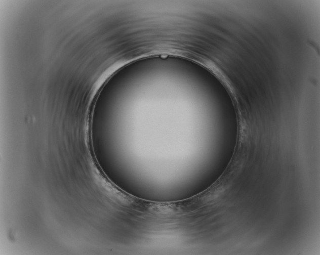 X0000103420955200809191634