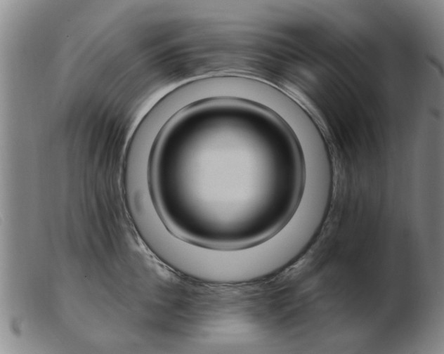 X0000103420956200809191634