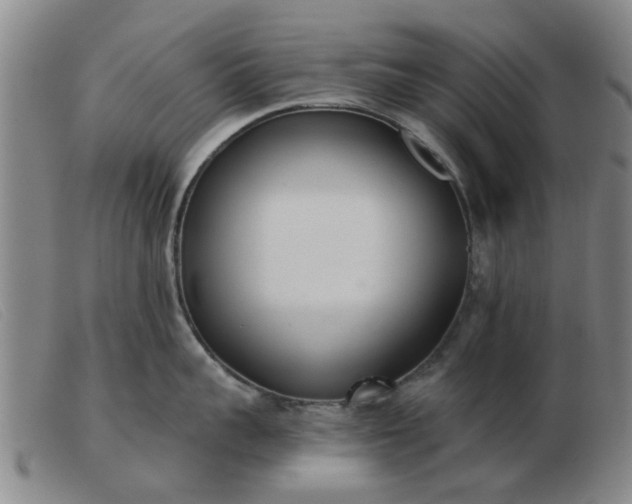 X0000103420959200809191634