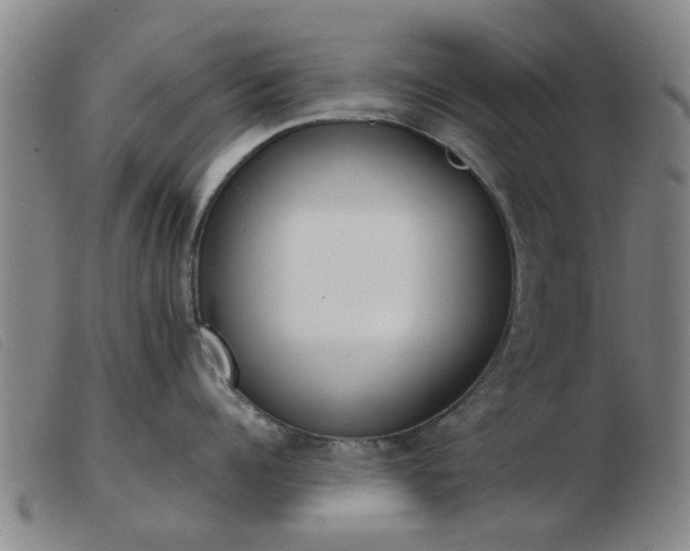 X0000103420960200809191634