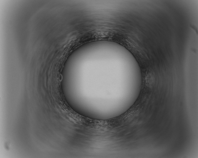 X0000103420961200809191633