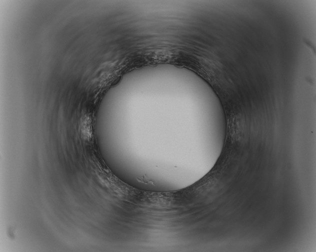 X0000103420962200809191633