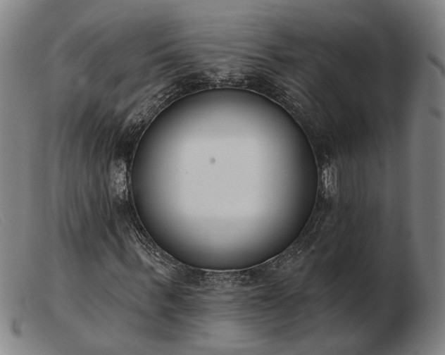 X0000103420963200809191633
