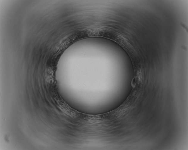 X0000103420964200809191633