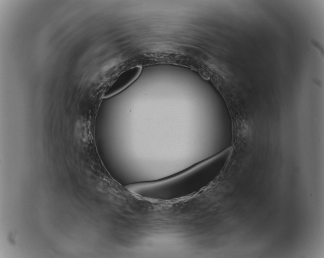 X0000103420965200809191633