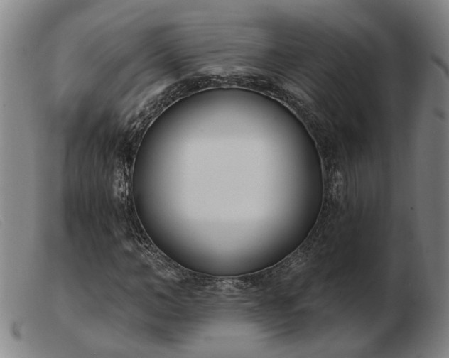 X0000103420966200809191633