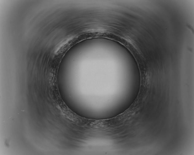 X0000103420967200809191633