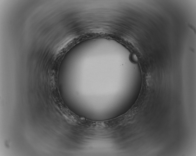 X0000103420968200809191633