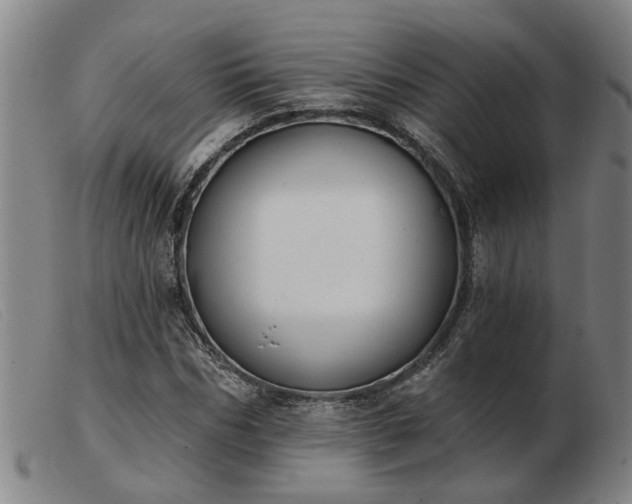 X0000103420970200809191633