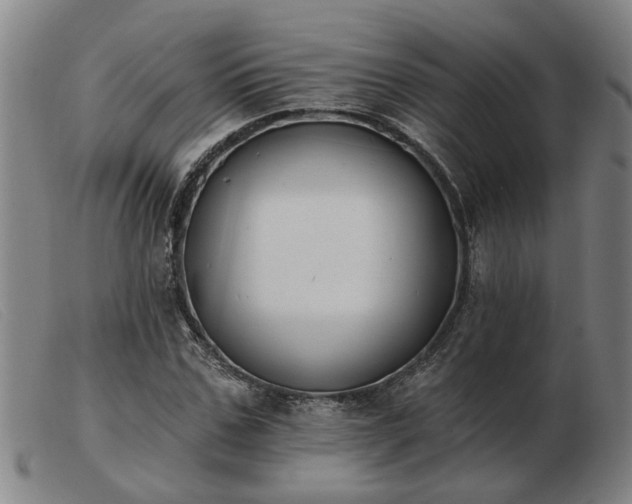 X0000103420971200809191633