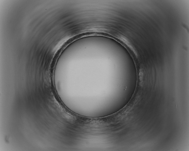 X0000103420972200809191633