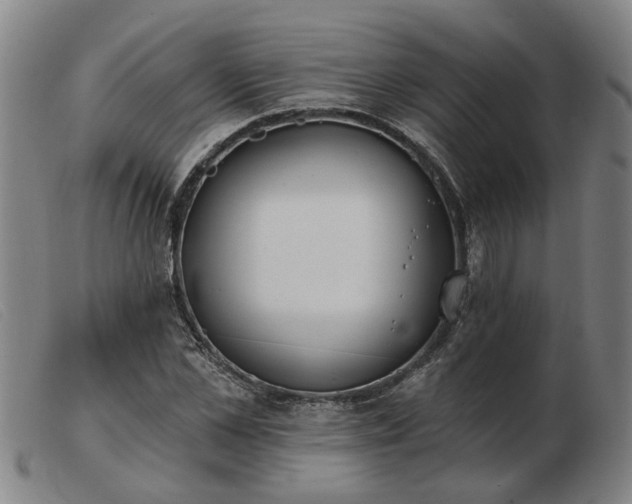 X0000103420973200809191633