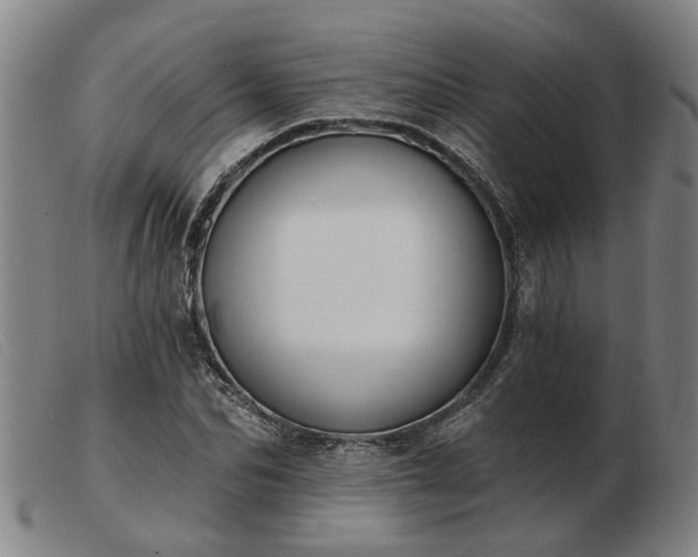 X0000103420974200809191633
