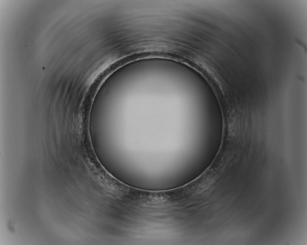 X0000103420975200809191633