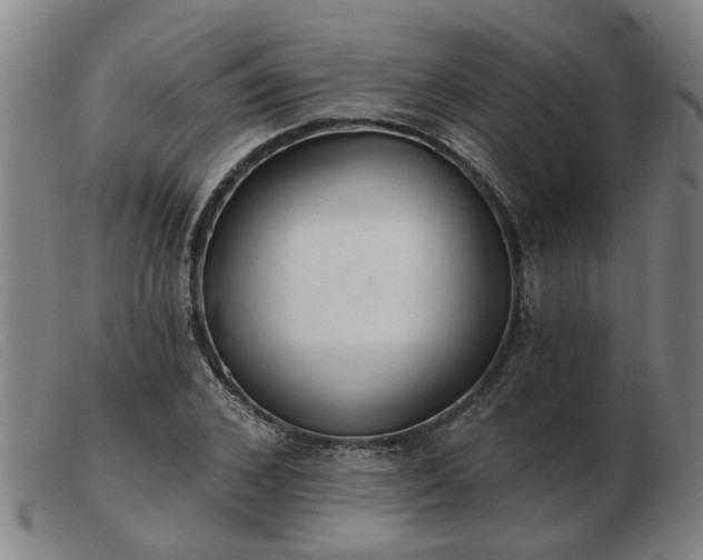 X0000103420976200809191633