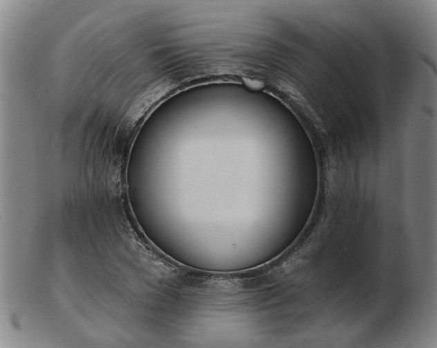 X0000103420977200809191633