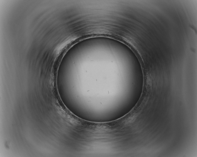 X0000103420979200809191633