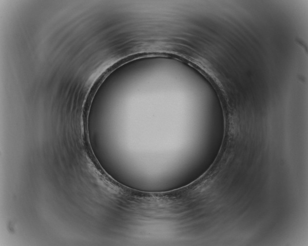 X0000103420980200809191633
