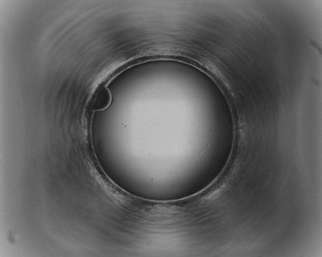 X0000103420981200809191633