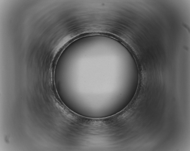 X0000103420982200809191633