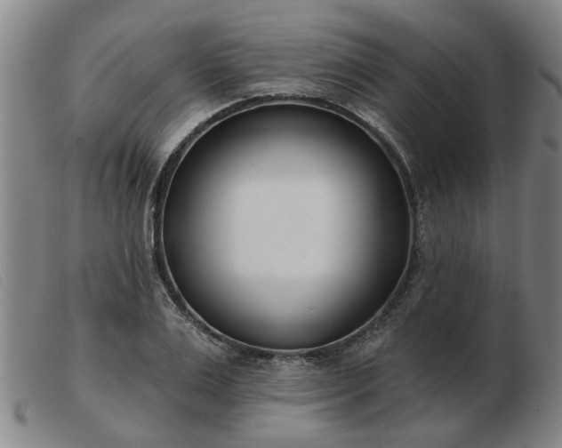 X0000103420983200809191633