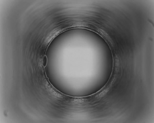 X0000103420985200809191633