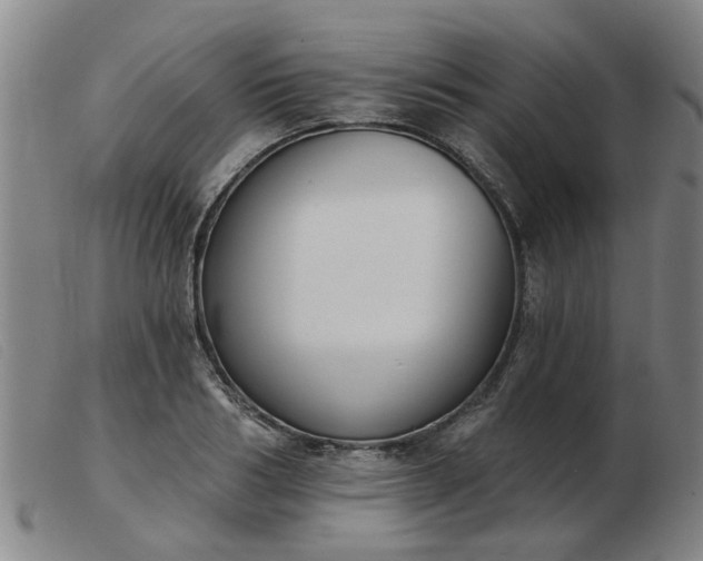 X0000103420986200809191633