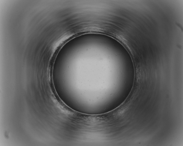 X0000103420987200809191633