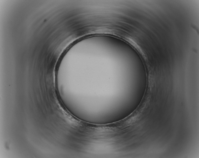 X0000103420988200809191633