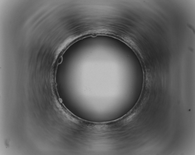 X0000103420989200809191633