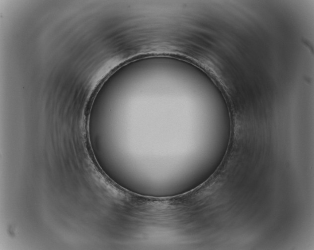 X0000103420990200809191633