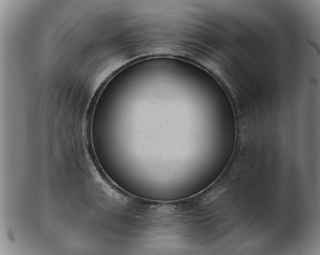 X0000103420991200809191633