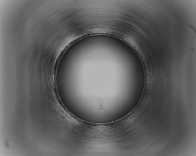 X0000103420992200809191633