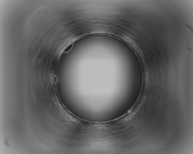 X0000103420993200809191633