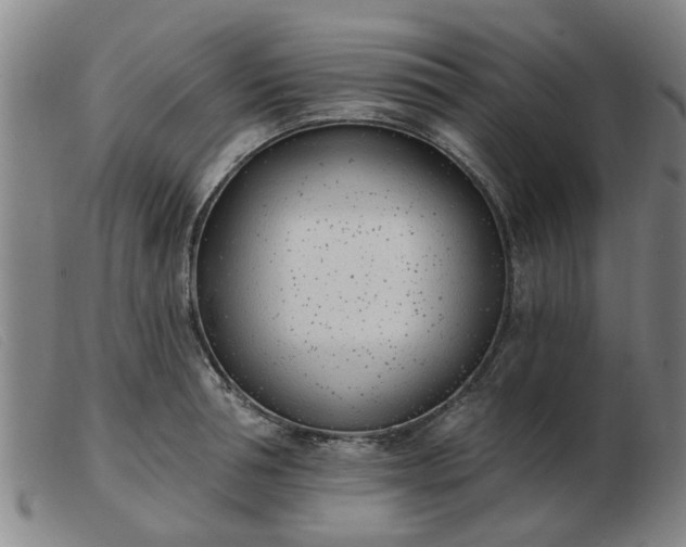 X0000103420994200809191633