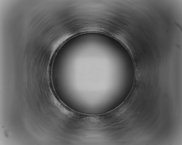 X0000103420995200809191633
