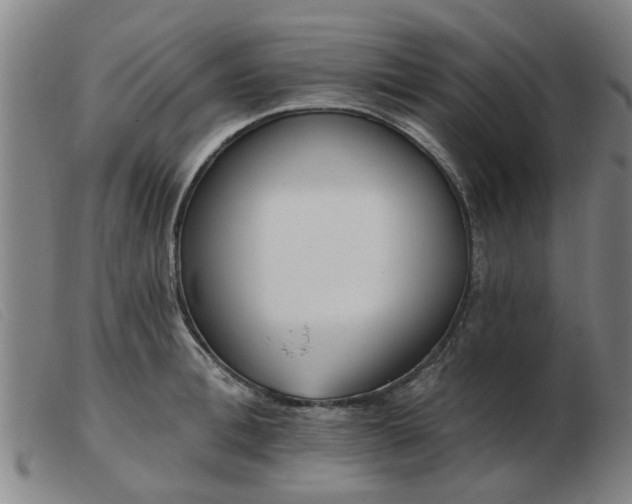 X0000103420996200809191633
