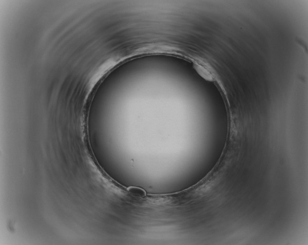 X0000103420997200809191633