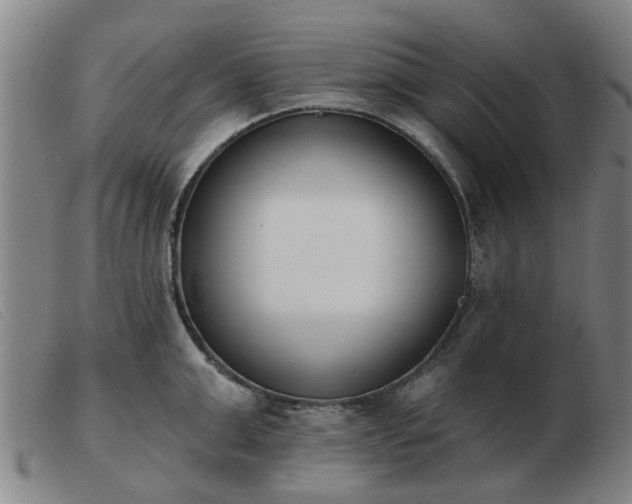 X0000103420999200809191633
