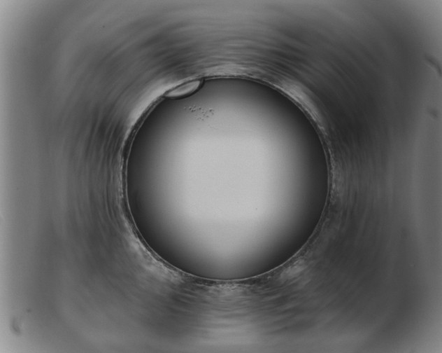 X0000103421000200809191633