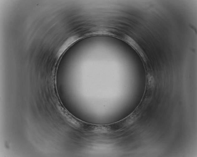 X0000103421002200809191633