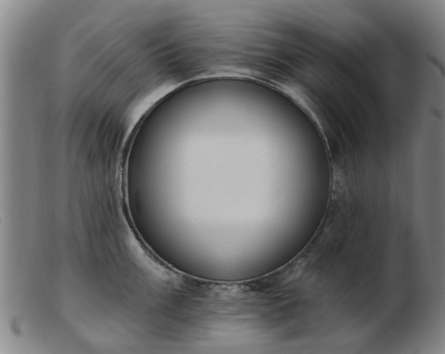 X0000103421003200809191633