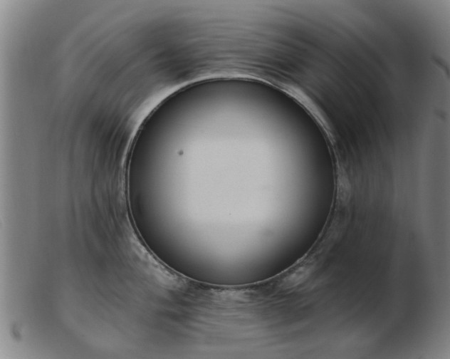 X0000103421004200809191633
